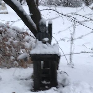 Meet your Posher, Rita